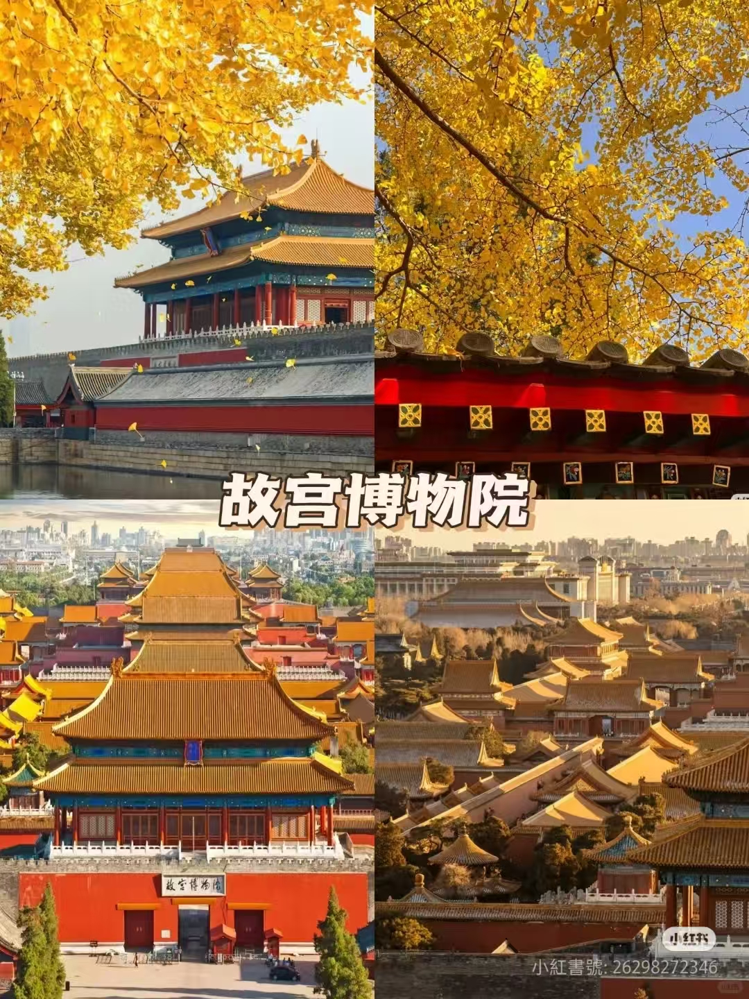 1762669248720510.jpg 微信图片_20251109141906_1182_7.jpg