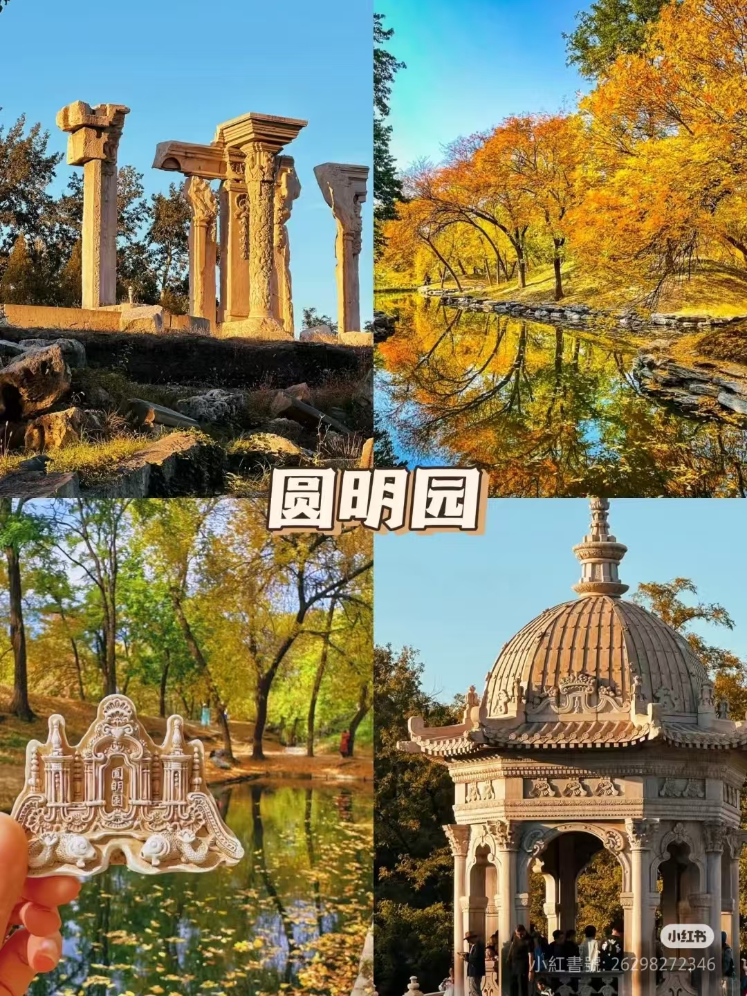1762669276969240.jpg 微信图片_20251109141908_1184_7.jpg